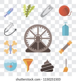 Set Of 13 simple editable icons such as Hamster ball, Broom, Poop, Filter, Aquarium, Rope, Treats, Shampoo, Stethoscope, web ui icon pack