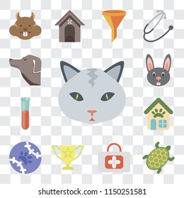 Set Of 13 simple editable icons such as Cat, Turtle, First aid, Trophy, Tennis, Pet shop, Test tube, Rabbit, Dog, web ui icon pack