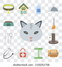 Set Of 13 simple editable icons such as Cat, Animal carrier, Platform, First aid, Stethoscope, Scratching, Leash, Broom, Bowl, web ui icon pack