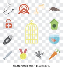 Set Of 13 simple editable icons such as Bird cage, Carrot, Spider, Winner, Injection, Fishbowl, Razor, Birdhouse, First aid, web ui icon pack
