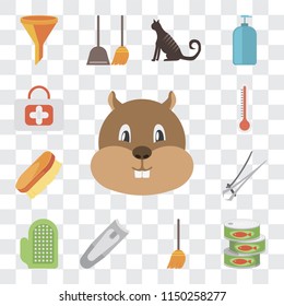 Set Of 13 simple editable icons such as Hamster, Canned food, Broom, Nail clippers, Glove, trimmer, Brush, Thermometer, First aid, web ui icon pack