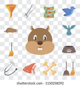 Set Of 13 simple editable icons such as Hamster, Dustpan, Bones, Fish, Stethoscope, Dog food, Broom, Bird, Hedgehog, web ui icon pack