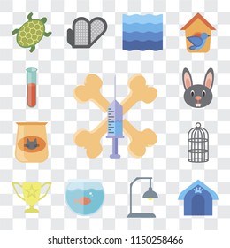 Set Of 13 simple editable icons such as Treats, Pet house, Lamp, Aquarium, Trophy, Cage, Cat food, Rabbit, Test tube, web ui icon pack