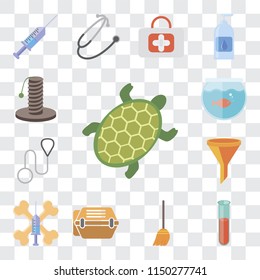Set Of 13 simple editable icons such as Turtle, Test tube, Broom, Animal carrier, Treats, Filter, Leash, Aquarium, Scratching, web ui icon pack