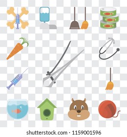 Set Of 13 transparent editable icons such as Nail trimmer, Yarn, Hamster, Birdhouse, Aquarium, Broom, Syringe, Stethoscope, Carrot, web ui icon pack, transparency set
