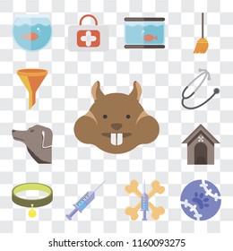 Set Of 13 transparent editable icons such as Hamster, Tennis, Treats, Syringe, Collar, Kennel, Dog, Stethoscope, Filter, web ui icon pack, transparency set