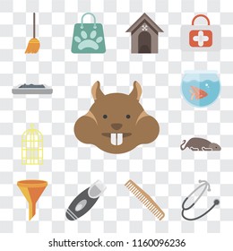 Set Of 13 transparent editable icons such as Hamster, Stethoscope, Comb, Razor, Filter, Mouse, Bird cage, Fishbowl, Litter box, web ui icon pack, transparency set