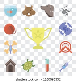 Set Of 13 transparent editable icons such as Trophy, Syringe, Test tube, Turtle, Kennel, Wheel, Treats, Tennis, Yarn, web ui icon pack, transparency set