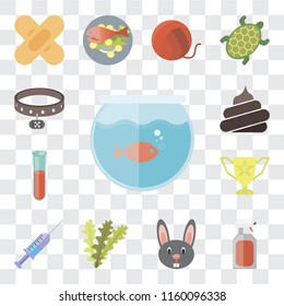 Set Of 13 transparent editable icons such as Aquarium, Spray, Rabbit, Seaweed, Syringe, Trophy, Test tube, Poop, Collar, web ui icon pack, transparency set