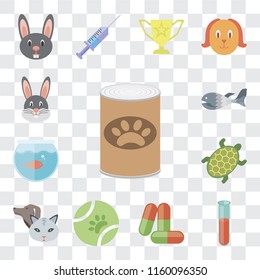 Set Of 13 transparent editable icons such as Pet food, Test tube, Drugs, Ball, Pet, Turtle, Aquarium, Fish, Rabbit, web ui icon pack, transparency set