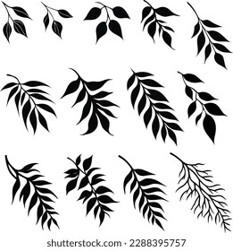 The set of 13-branch black vector silhouette stock is an incredibly useful resource for artists, illustrators, and designers alike. The detailed and intricate silhouettes of various plants and trees m