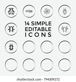 Set of 14 bug outline icons such as beetle, fly, spider web, ladybug, caterpillar