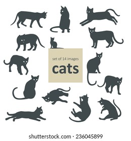 set of 14 images cats