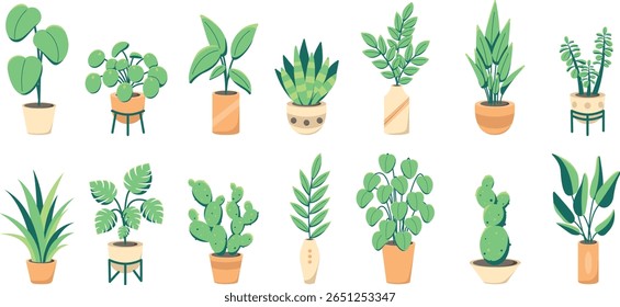 set of 14 indoor plants