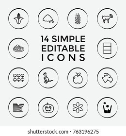 Set of 14 natural outline icons such as trash bin, wheat, field, corn, tree, goat, cangaroo, flower, barrel, pond, ground heap, pumpkin halloween