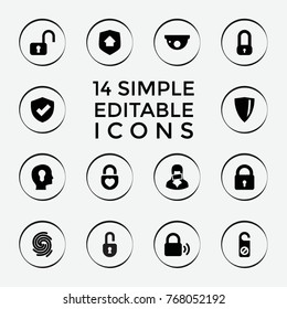 Set of 14 privacy filled icons such as lock, do not disturb, open lock, heart lock, head with keyhole, censored woman, shield, home security, finger print
