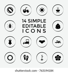 Set of 14 summer filled icons such as berry, beetle, beach ball, barbeque, fast food cart, swimming man, flower, sprout, sun, drink coconut, flip flops, man swim wear