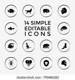 Set of 14 wild filled icons such as fish, lion, kangaroo, ant, bear, eagle, wolf, hippopotamus, chameleon