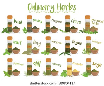 Set of 15 different culinary herbs in cartoon style.