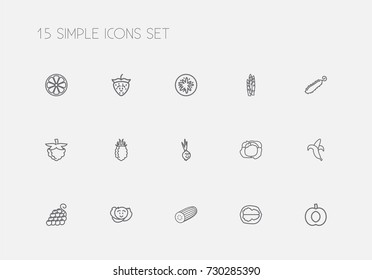Set Of 15 Editable Cooking Outline Icons. Includes Symbols Such As Cauliflower, Apricot, Comic Onion And More. Can Be Used For Web, Mobile, UI And Infographic Design.