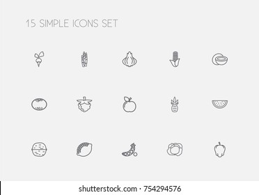 Set Of 15 Editable Vegetable Outline Icons. Includes Symbols Such As Sliced Watermelon, Cute Onion, Coconut And More. Can Be Used For Web, Mobile, UI And Infographic Design.