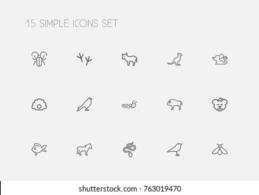 Set Of 15 Editable Zoo Outline Icons. Includes Symbols Such As Larva, Rat, Wallaby And More. Can Be Used For Web, Mobile, UI And Infographic Design.