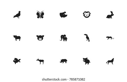Set of 15 editable zoology icons. Includes symbols such as swine, antelope, fish and more. Can be used for web, mobile, UI and infographic design.