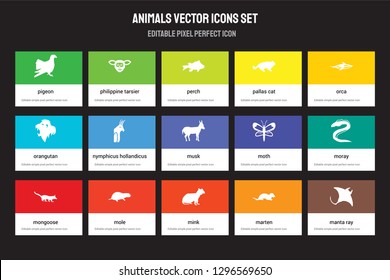 Set of 15 flat animals icons - Pigeon, Philippine tarsier, Mink, Orca, Mongoose, Moth, Moray, Marten. Vector illustration isolated on colorful background