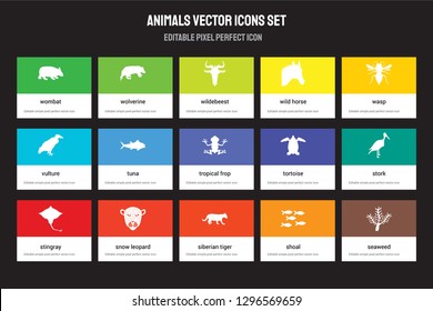 Set of 15 flat animals icons - Wombat, Wolverine, Siberian tiger, Wasp, Stingray, Tortoise, Stork, Shoal. Vector illustration isolated on colorful background