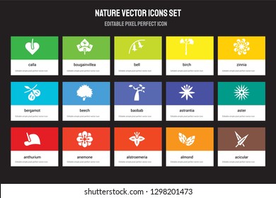 Set of 15 flat nature icons - Calla, Bougainvillea, Alstroemeria, Zinnia, Anthurium, Astrantia, Aster, Almond. Vector illustration isolated on colorful background