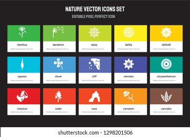 Set of 15 flat nature icons - Dianthus, Dandelion, cave, Daffodil, Chestnut, Clematis, Chrysanthemum, Carnation. Vector illustration isolated on colorful background