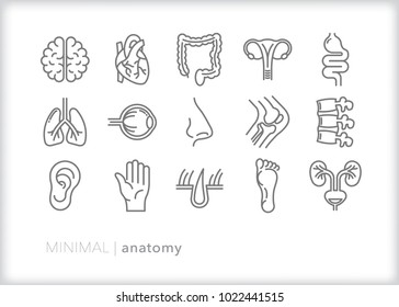 89,202 Bone doctor Images, Stock Photos & Vectors | Shutterstock