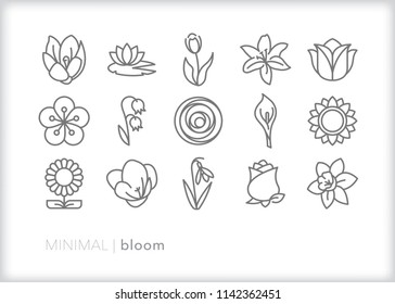 Set of 15 minimal bloom icons of flowers, petals and stems from a garden or to make a bouquet including rose, daisy, lily, tulip, lily pad, sunflower, bluebell, freesia and more