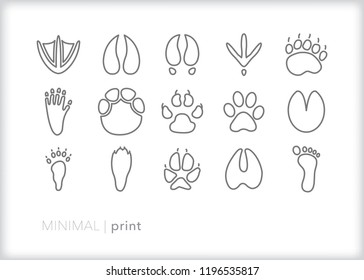 Set of 15 minimal foot and paw print icons showing prints made when various animals walk through mud or sand in nature, including claw and hoof marks