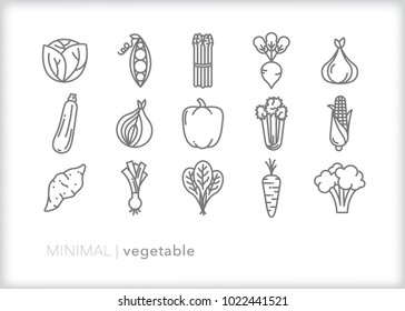 Set of 15 minimal vegetable icons for healthy eating including lettuce, asparagus, carrot, turnip, onion, peas, squash, potato, pepper, celery, corn, spinach and broccoli