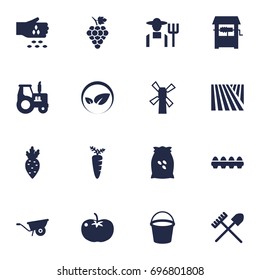 Set Of 16 Agricultural Icons Set.Collection Of Pushcart, Pail, Tray Of Eggs And Other Elements.