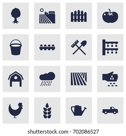 Set Of 16 Agriculture Icons Set.Collection Of Rake, Field, Cloud And Other Elements.