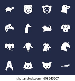 Set Of 16 Alive Icons Set.Collection Of Rhinoceros, King, Bird And Other Elements.