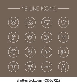 Set Of 16 Alive Outline Icons Set.Collection Of Horse, Owl, Eagle And Other Elements.