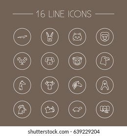 Set Of 16 Alive Outline Icons Set.Collection Of Giraffe, Lion, Mammal And Other Elements.