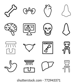 Set of 16 anatomy outline icons such as nose, hair removal, bone, liver, heart organ, brain, kidney, bladder, x ray, x-ray on display, stomach