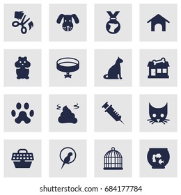 Set Of 16 Animals Icons Set.Collection Of Birdcage, Pile, Rat And Other Elements.