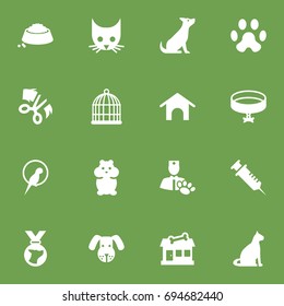 Set Of 16 Animals Icons Set.Collection Of Rat, Medallion, Veterinarian And Other Elements.