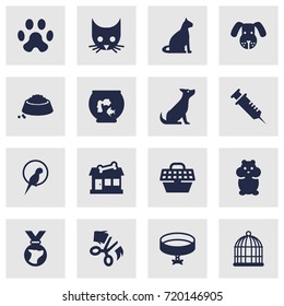 Set Of 16 Animals Icons Set.Collection Of Pet Crate, Footprint, Rat And Other Elements.