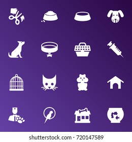 Set Of 16 Animals Icons Set.Collection Of Veterinarian, Rat, Store And Other Elements.