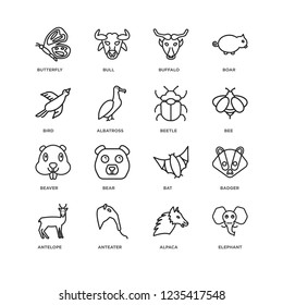 Set Of 16 animals linear icons such as Elephant, Alpaca, Anteater, Antelope, Badger, Butterfly, Bird, Beaver, Beetle, editable stroke icon pack, pixel perfect