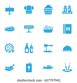 Set Of 16 Bar Icons Set.Collection Of Catsup, Chef, Dinner Desk And Other Elements.