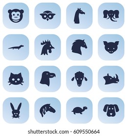 Set Of 16 Beast Icons Set.Collection Of Rhinoceros, Hog, Camelopard And Other Elements.