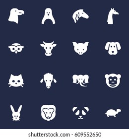 Set Of 16 Beast Icons Set.Collection Of Bird, Bear, Tortoise And Other Elements.