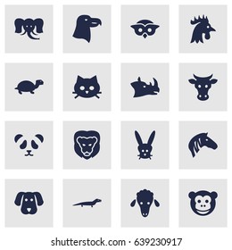 Set Of 16 Beast Icons Set.Collection Of Gecko, Bunny, Aquila And Other Elements.